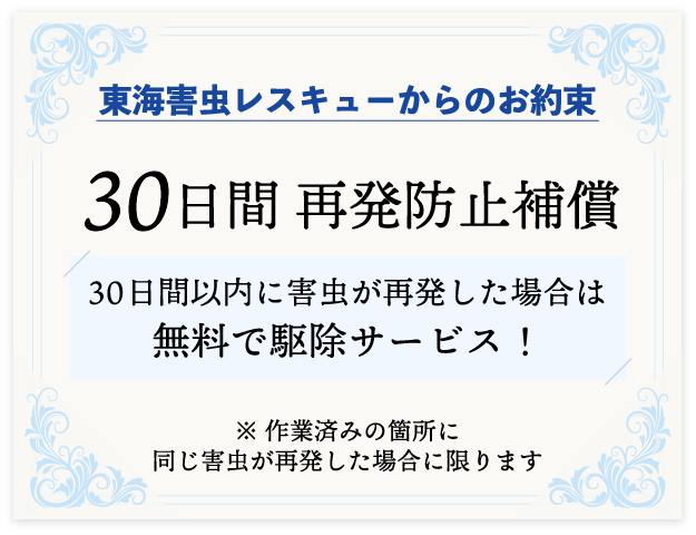 30日間 再発防止補償